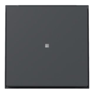 Gira Plaque de commande pour WG encastré Anthracite 329067