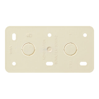 Gira Plaque de montage 2f.cws AP 008013