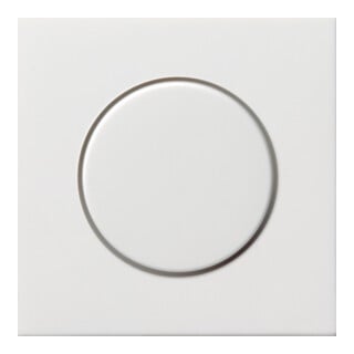 Gira Plaque de variateur rws-gl 0650112