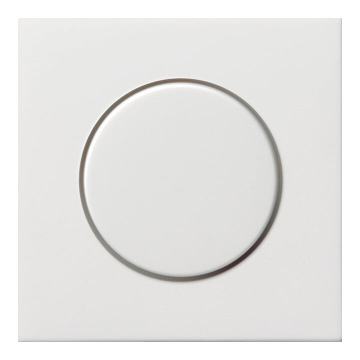 Gira Plaque de variateur rws-gl 0650112