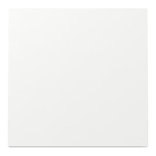Gira Plaque d’interrupteur 329670 blanc pur