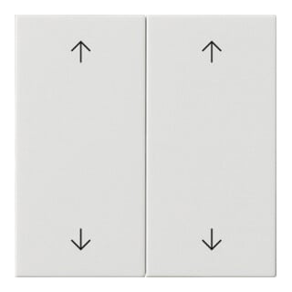 Gira Plaque double blanc pur 538703