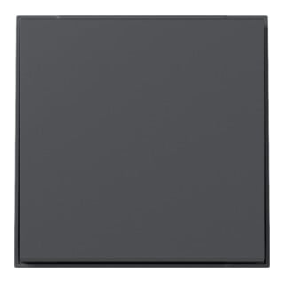 Gira Plaque droite Anthracite 349667