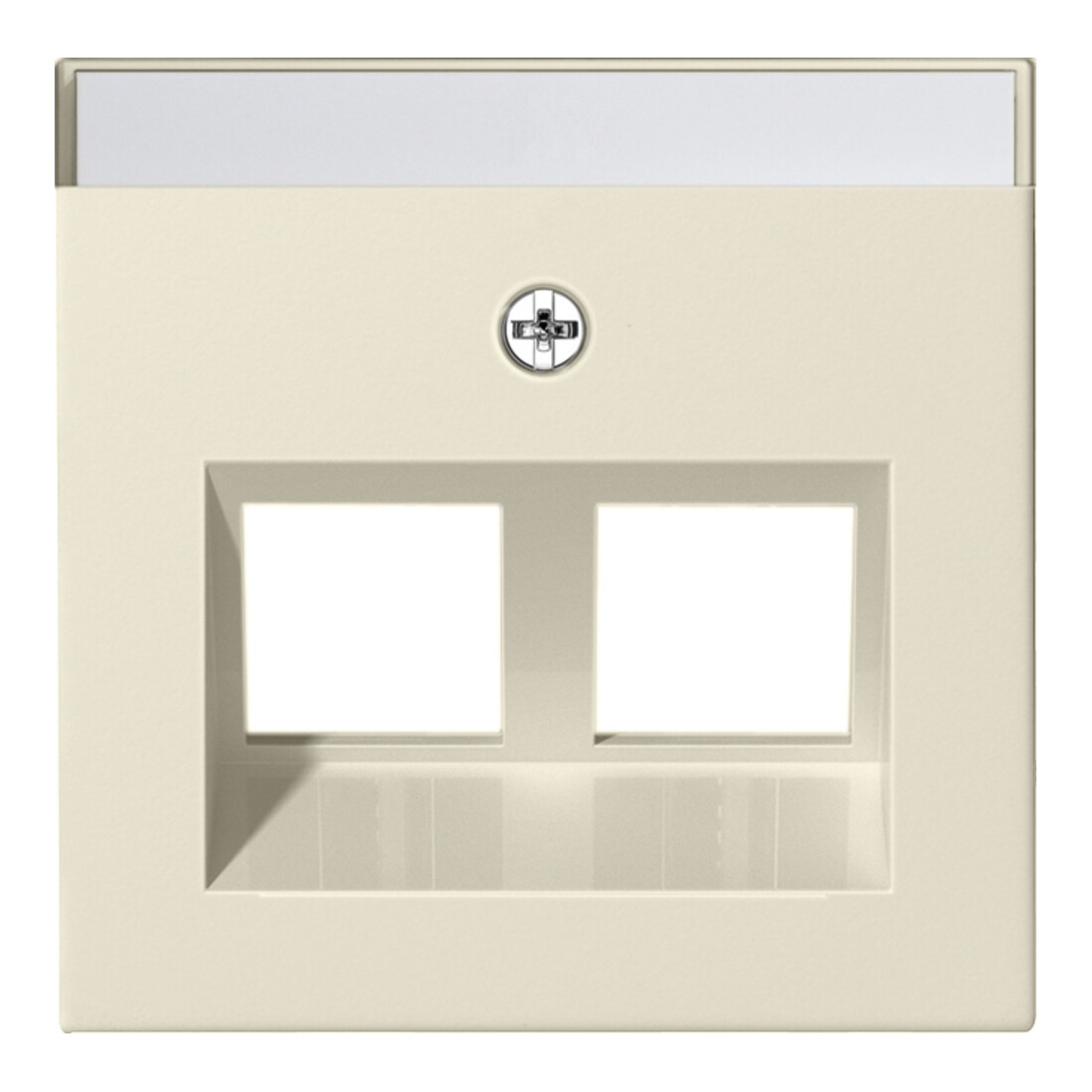 Gira Plaque Modular Jack 30° 2x cws 264001