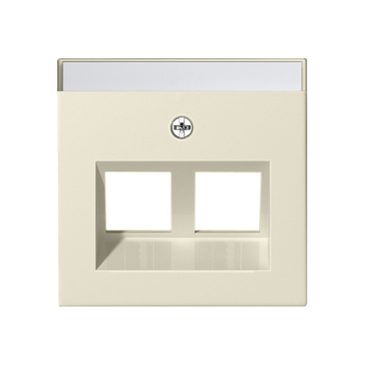 Gira Plaque Modular Jack 30° 2x cws 264001