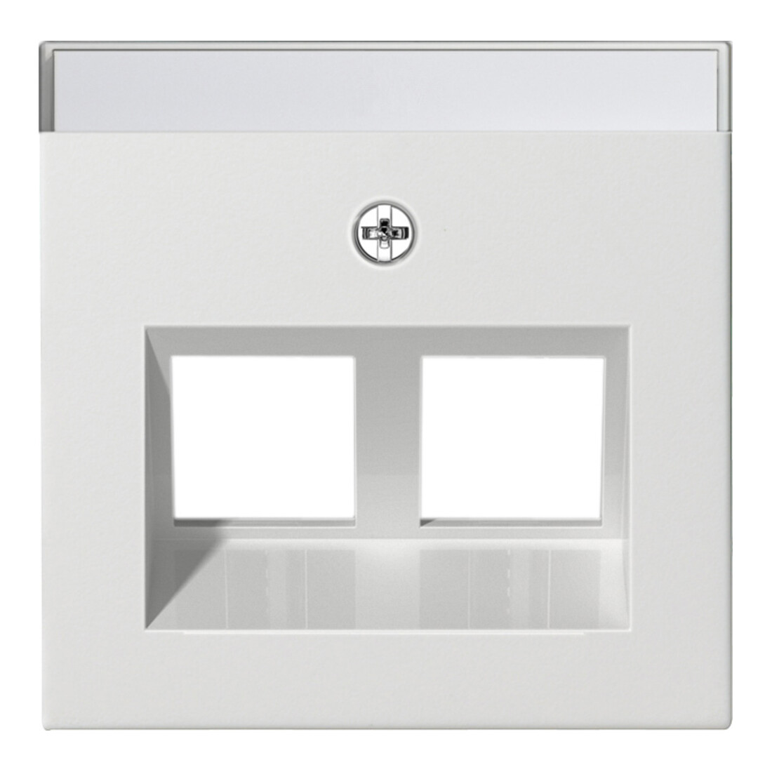 Gira Plaque Modular Jack 30° double droite mat 264027