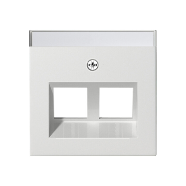 Gira Plaque Modular Jack 30° double droite mat 264027