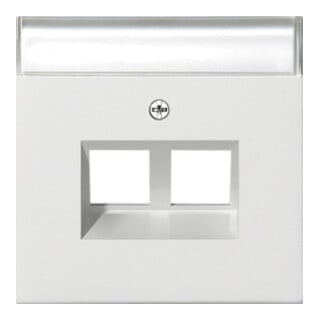 Gira Plaque Modular Jack 30° double rws 2640112