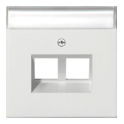 Gira Plaque Modular Jack 30° double rws 2640112-1