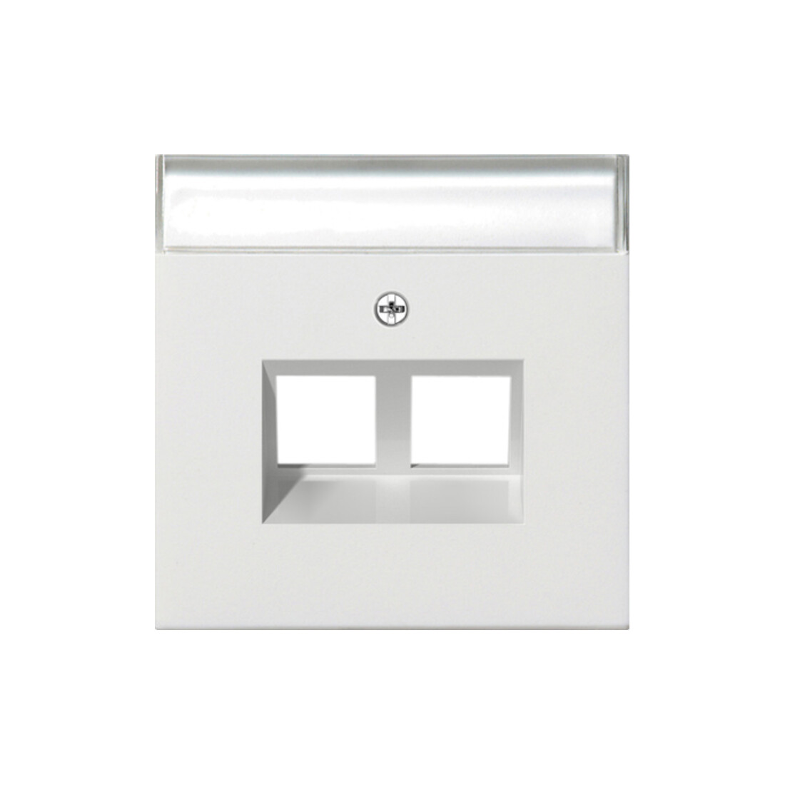 Gira Plaque Modular Jack 30° double rws 2640112