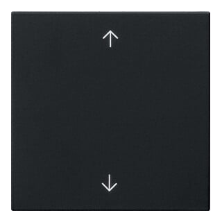 Gira Plaque simple noire 5389005