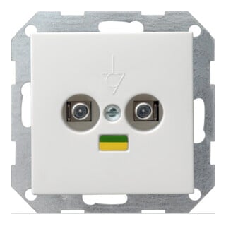 Gira Potentialausgl.-Dose rws-gl 040503