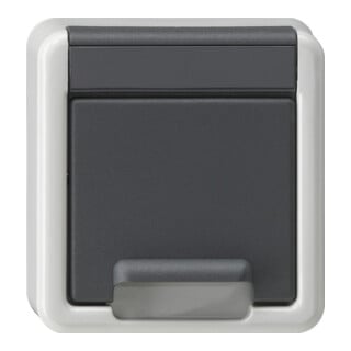 Gira Prise avec terre boîtier supérieur KD + SH WG Gris 494230