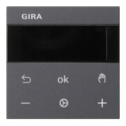 Gira RTR Display anthrazit 539328