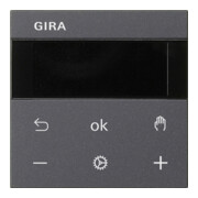 Gira RTR Display anthrazit 539328-3