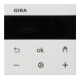 Gira RTR Display rws 539303-1