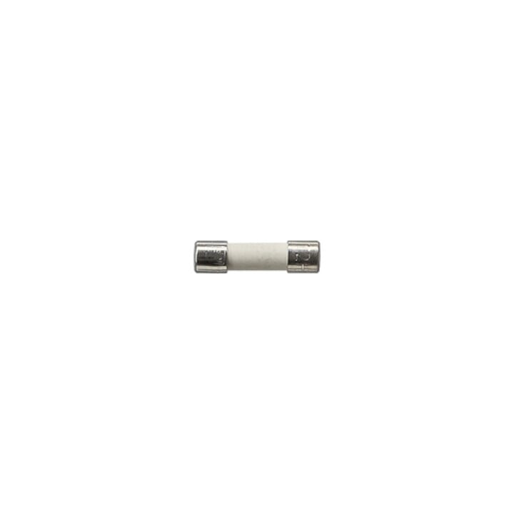Gira Sicherung T2 H 250 V 049806