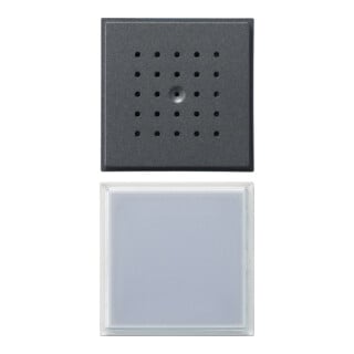 Gira Station de porte encastrée 1 poste anthracite 126067