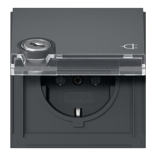 Gira Steckdose KD TX-44 Ant Schloss sortiert