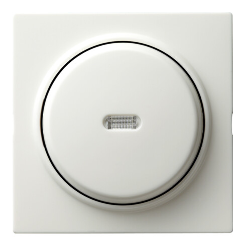 Gira Tast-Kontrollschalter rws S-Color 013640
