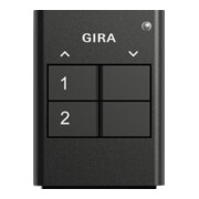 Gira Télécommande radio 2 boutons anthracite 535210-3