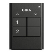 Gira Télécommande radio 2 boutons anthracite 535210-3