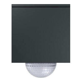 Gira Wächter anthracite 244210