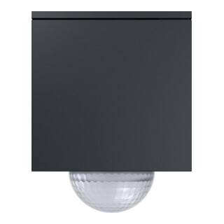 Gira Wächter anthracite 244410