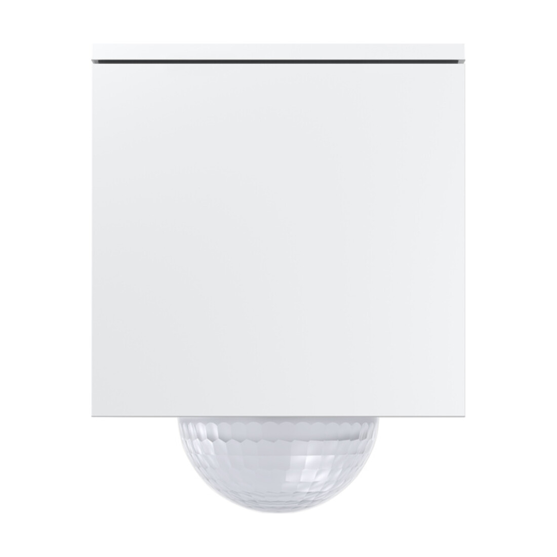 Gira Wächter blanc pur 244202