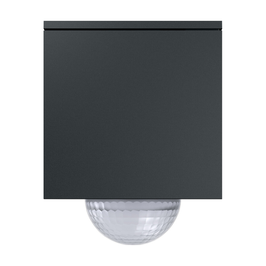 Gira Wächter anthrazit 244410