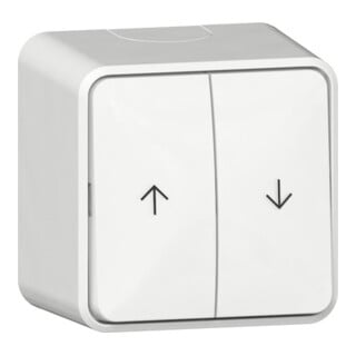 Gira Wipp-Jalousieschalter 10AX 250V Reinweiß Pfeile Montageplatte