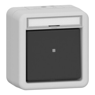 Gira Wipp-Kontrollschalter 2-polig grau AP 10AX 250V~