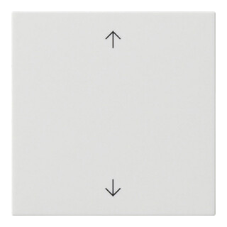 Gira Wippe 1-fach Reinweiß 538903