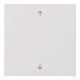 Gira Wippe 1-fach Reinweiß 5389112