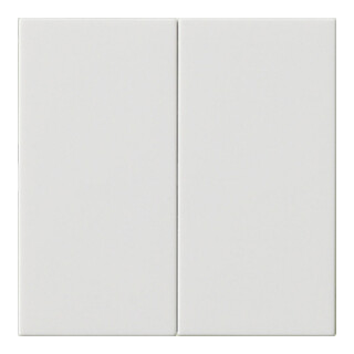 Gira Wippe 2-fach Reinweiß 537003