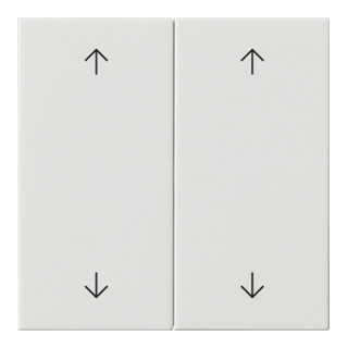 Gira Wippe 2-fach Reinweiß 538703