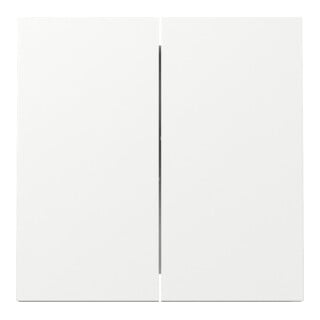 Gira Wippe 2f Schalter Reinweiß 329570