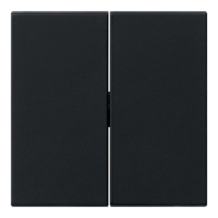 Gira Wippe 2f. sw 0295005