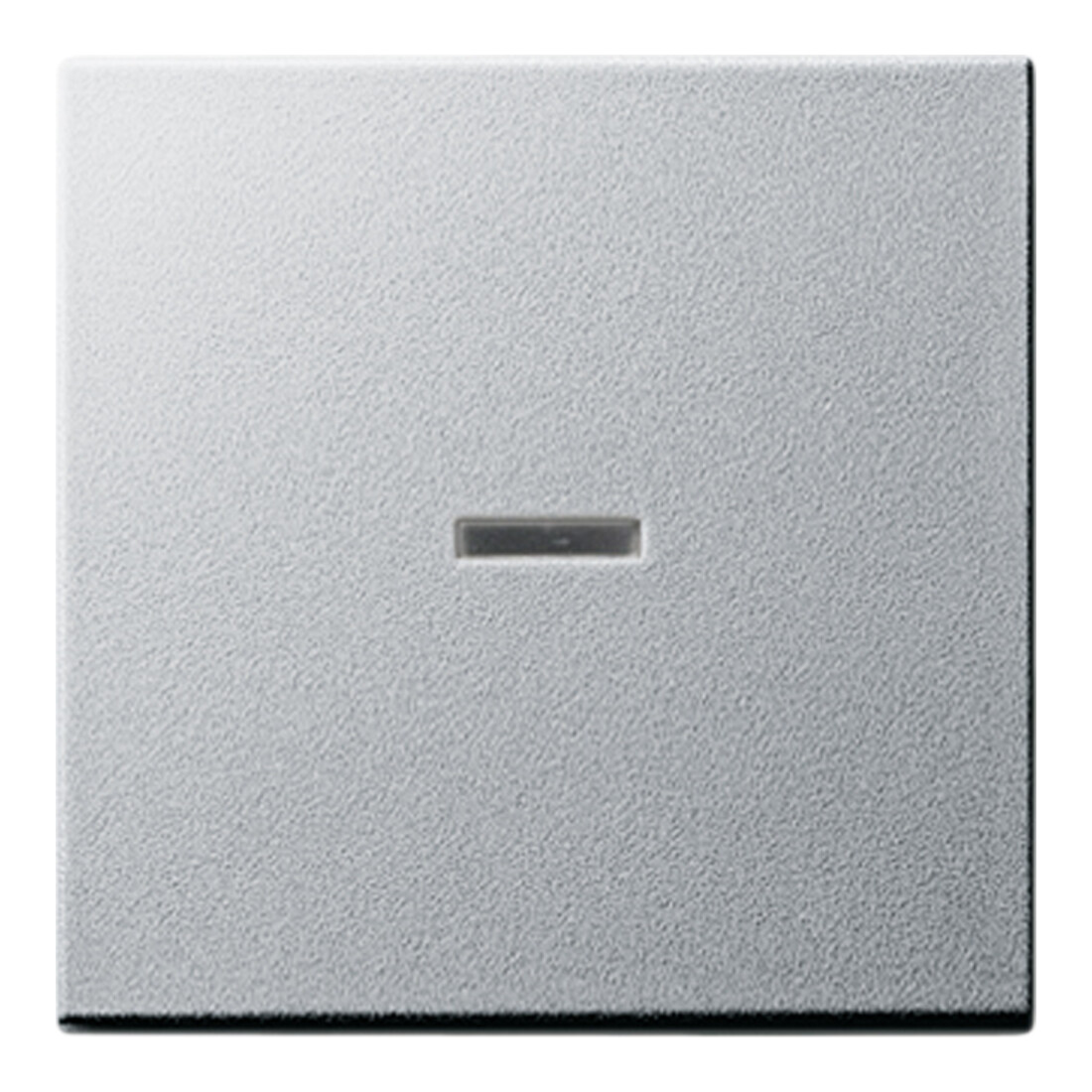 Gira Wippe alu mit Kontroll-Fenster 029026