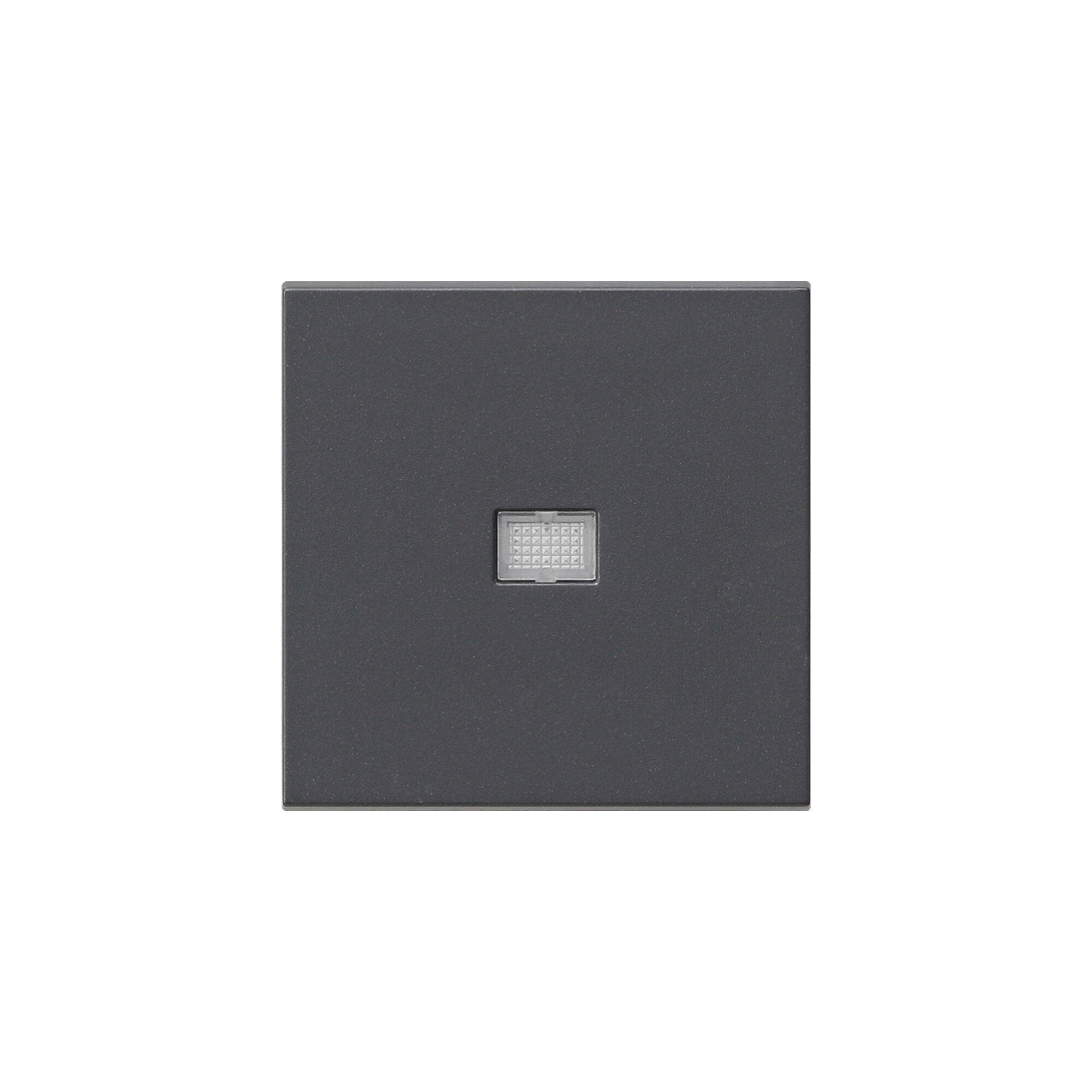Gira Wippe anth m.Kontroll-Fenster 029828