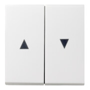 Gira Wippe Jalousiesch. rws-gl mit Pfeilsymbol 029403