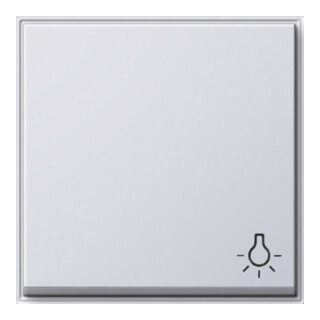 Gira Wippe Licht rws TX44 028566