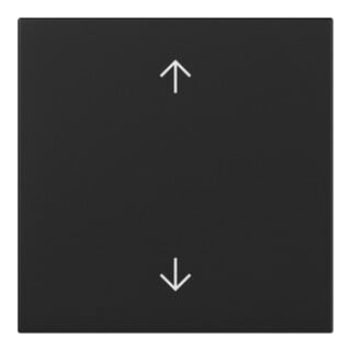 Gira Wippe Pfeile Schwarz m 3616005