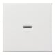 Gira Wippe rws-gl mit Kontroll-Fenster 029003