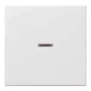 Gira Wippe rws-gl mit Kontroll-Fenster 029003-3