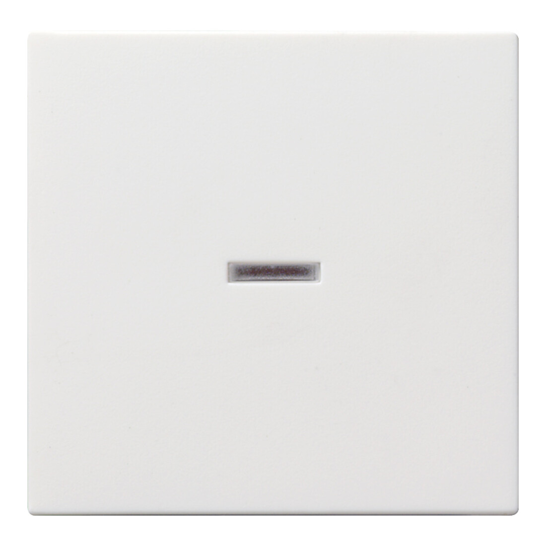 Gira Wippe rws-gl mit Kontroll-Fenster 029003