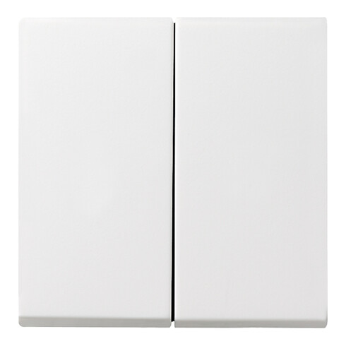 Gira Wippe Seriensch. rws-gl System55 029503