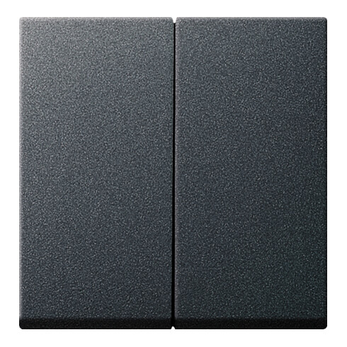 Gira Wippe Serienschalter IP44 System 55 anthrazit 026628