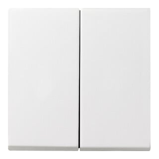 Gira Wippe Serienschalter IP44 System 55 reinweiß m 026627