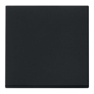 Gira Wippe sw 0296005
